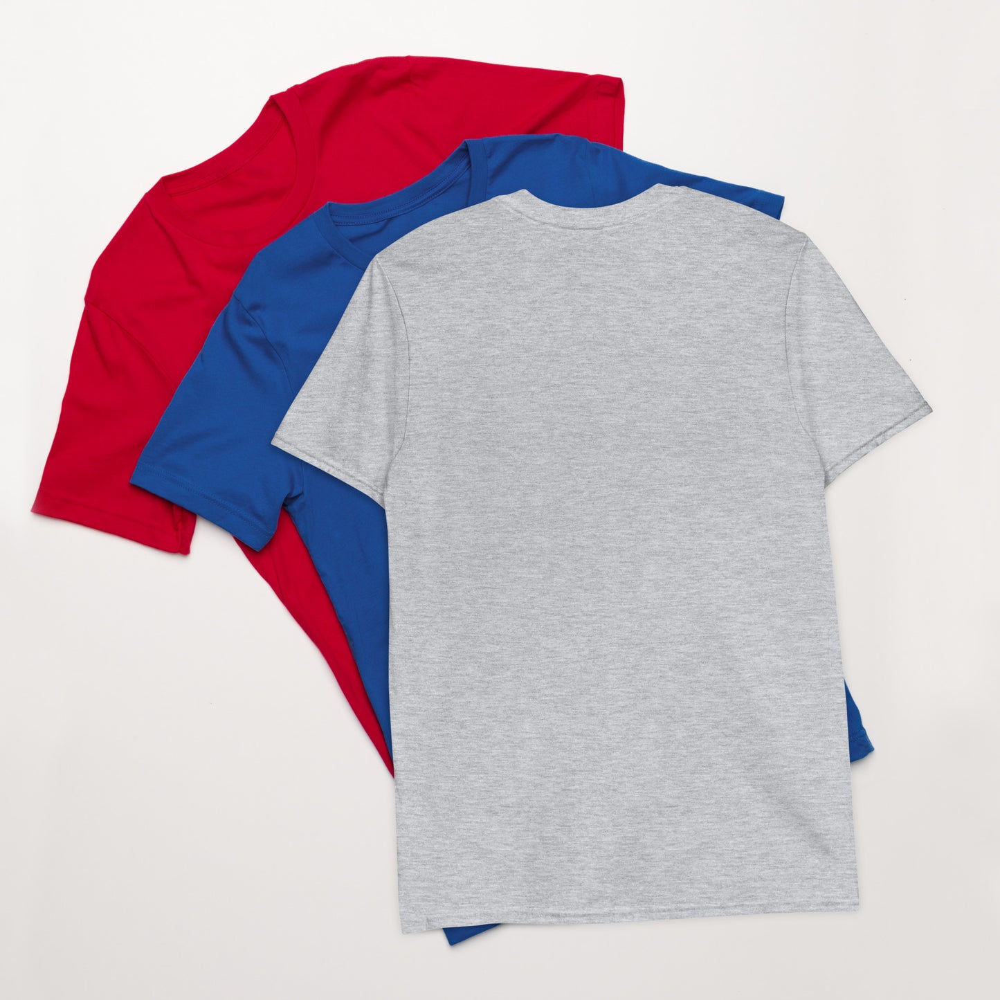 Back view of a gray t-shirt on a white background