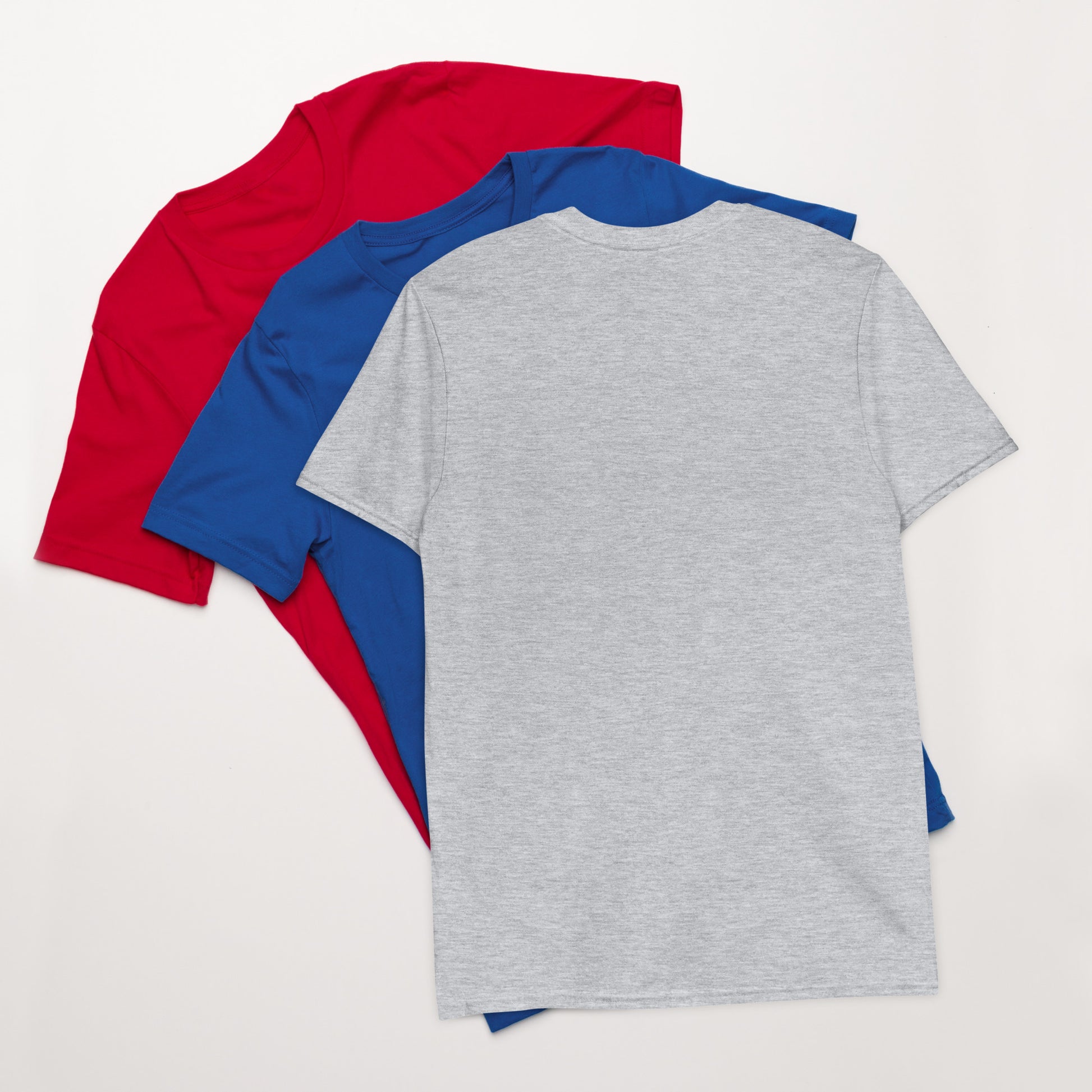 Back view of a gray t-shirt  on a white background